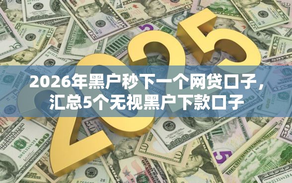 2026年黑户秒下一个网贷口子，汇总5个无视黑户下款口子