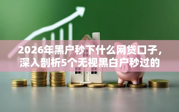 2026年黑户秒下什么网贷口子，深入剖析5个无视黑白户秒过的网贷
