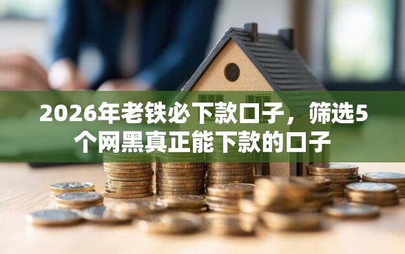2026年老铁必下款口子，筛选5个网黑真正能下款的口子