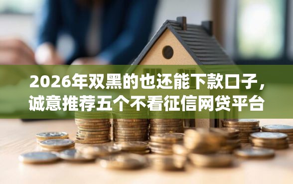 2026年双黑的也还能下款口子，诚意推荐五个不看征信网贷平台放款快的app