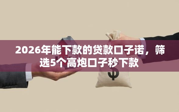 2026年能下款的贷款口子诺，筛选5个高炮口子秒下款