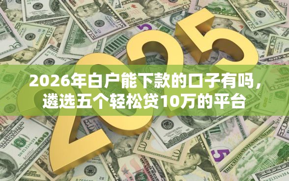 2026年白户能下款的口子有吗，遴选五个轻松贷10万的平台