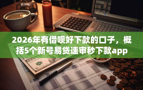 2026年有借呗好下款的口子，概括5个新号易贷速审秒下款app