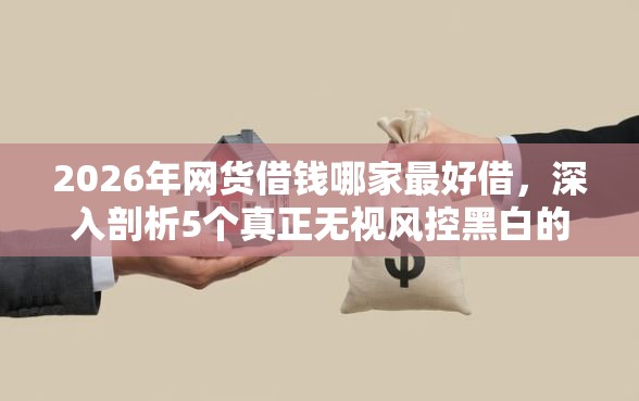 2026年网货借钱哪家最好借，深入剖析5个真正无视风控黑白的网贷平台