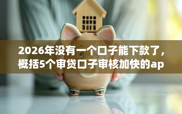 2026年没有一个口子能下款了，概括5个审贷口子审核加快的app