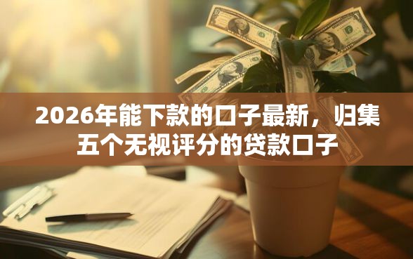 2026年能下款的口子最新，归集五个无视评分的贷款口子