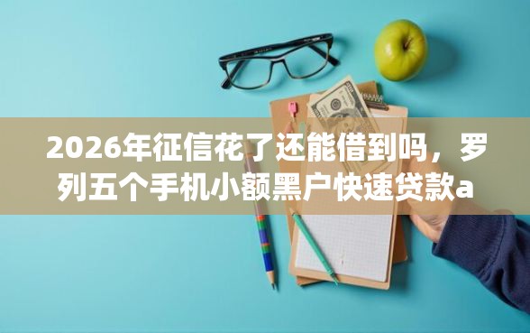 2026年征信花了还能借到吗，罗列五个手机小额黑户快速贷款app