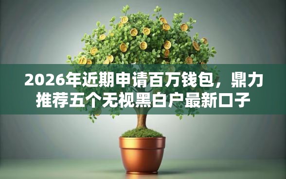 2026年近期申请百万钱包，鼎力推荐五个无视黑白户最新口子