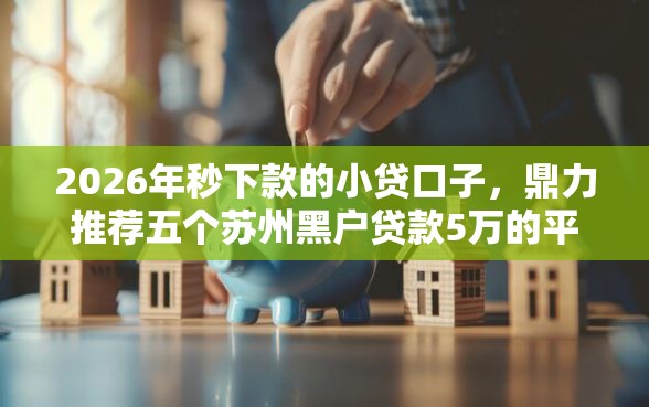 2026年秒下款的小贷口子，鼎力推荐五个苏州黑户贷款5万的平台