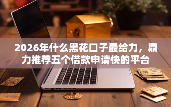 2026年什么黑花口子最给力，鼎力推荐五个借款申请快的平台