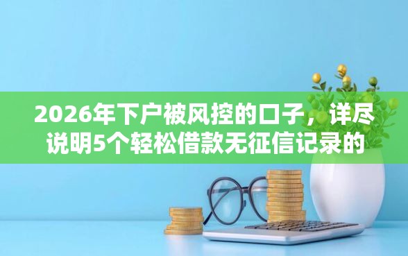2026年下户被风控的口子，详尽说明5个轻松借款无征信记录的平台