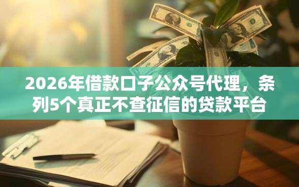 2026年借款口子公众号代理，条列5个真正不查征信的贷款平台