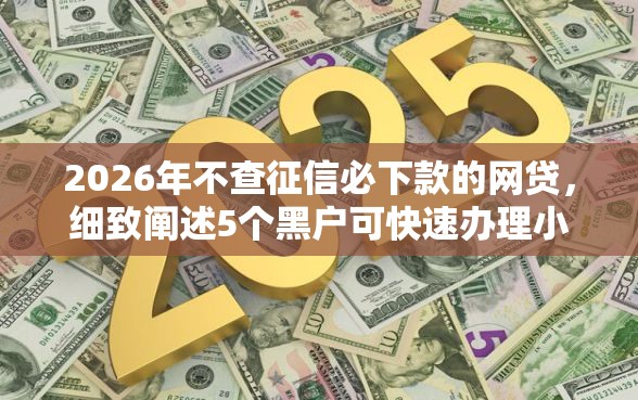 2026年不查征信必下款的网贷，细致阐述5个黑户可快速办理小额贷款业务的口子