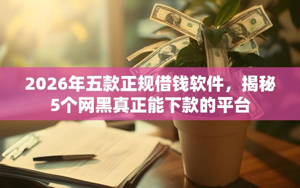 2026年五款正规借钱软件，揭秘5个网黑真正能下款的平台