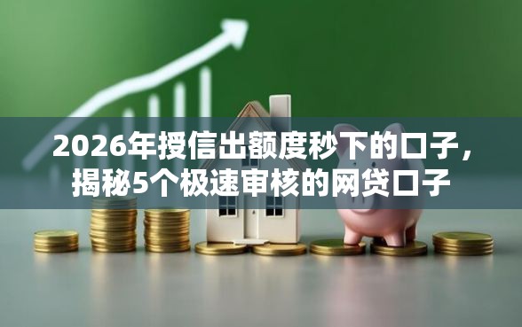 2026年授信出额度秒下的口子，揭秘5个极速审核的网贷口子