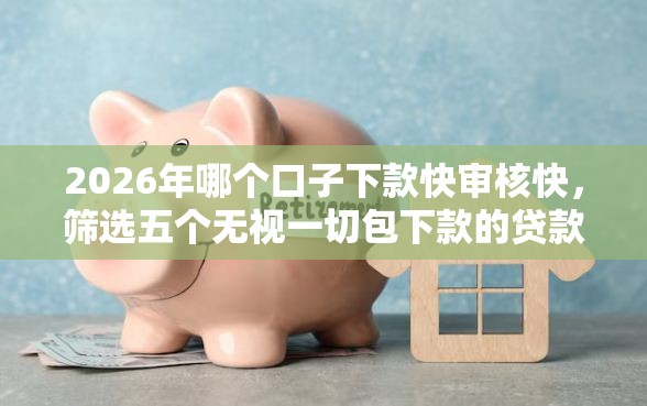 2026年哪个口子下款快审核快，筛选五个无视一切包下款的贷款