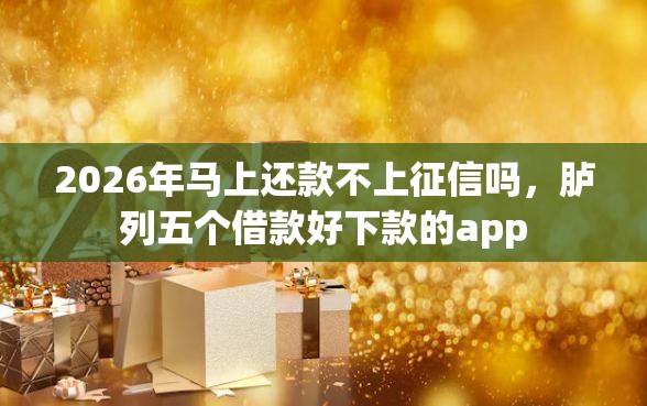 2026年马上还款不上征信吗，胪列五个借款好下款的app