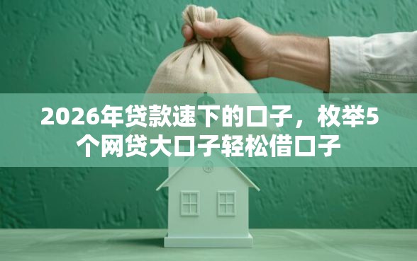 2026年贷款速下的口子，枚举5个网贷大口子轻松借口子