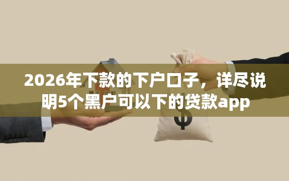 2026年下款的下户口子，详尽说明5个黑户可以下的贷款app