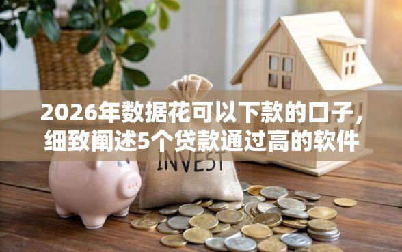 2026年数据花可以下款的口子，细致阐述5个贷款通过高的软件