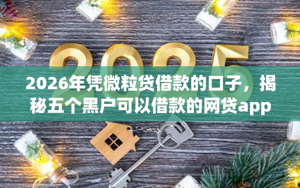 2026年凭微粒贷借款的口子，揭秘五个黑户可以借款的网贷app