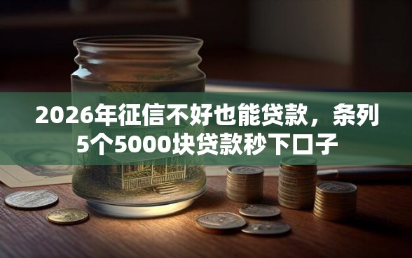 2026年征信不好也能贷款，条列5个5000块贷款秒下口子