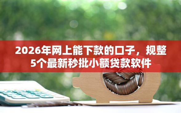 2026年网上能下款的口子，规整5个最新秒批小额贷款软件