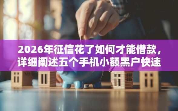 2026年征信花了如何才能借款，详细阐述五个手机小额黑户快速贷款软件