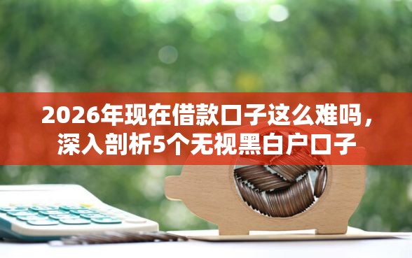2026年现在借款口子这么难吗，深入剖析5个无视黑白户口子