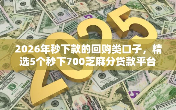 2026年秒下款的回购类口子，精选5个秒下700芝麻分贷款平台