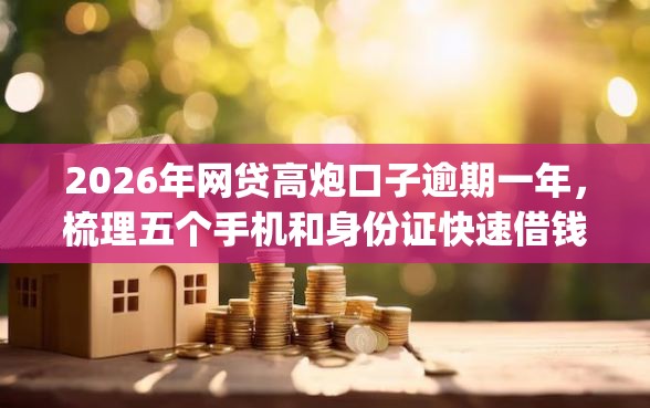 2026年网贷高炮口子逾期一年，梳理五个手机和身份证快速借钱app