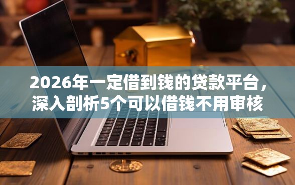 2026年一定借到钱的贷款平台，深入剖析5个可以借钱不用审核的平台
