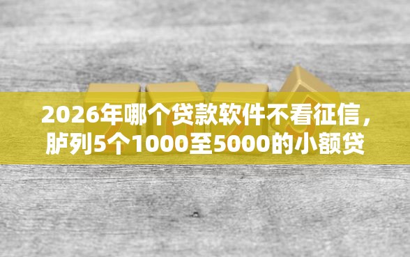 2026年哪个贷款软件不看征信,胪列5个1000至5000的小额贷款软件 2026年哪个贷款软件不看征信,胪列5个1000至5000的小额贷款软件