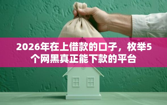 2026年在上借款的口子，枚举5个网黑真正能下款的平台