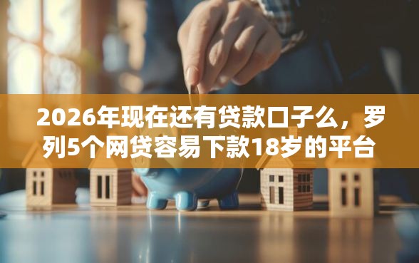 2026年现在还有贷款口子么，罗列5个网贷容易下款18岁的平台