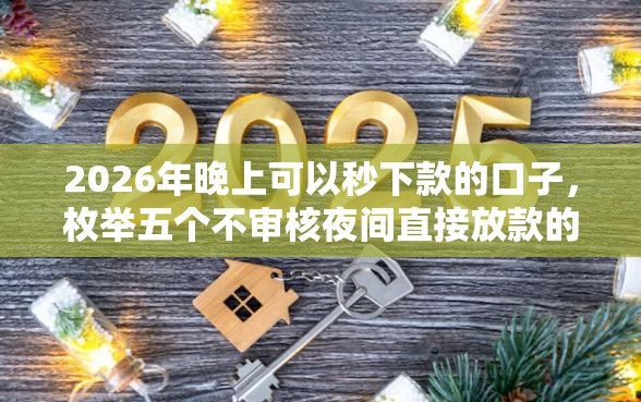 2026年晚上可以秒下款的口子，枚举五个不审核夜间直接放款的网贷软件