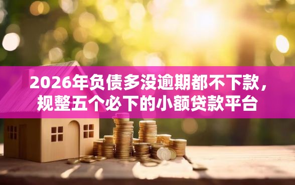 2026年负债多没逾期都不下款，规整五个必下的小额贷款平台