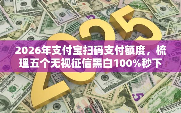 2026年支付宝扫码支付额度，梳理五个无视征信黑白100%秒下软件