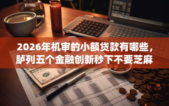 2026年机审的小额贷款有哪些，胪列五个金融创新秒下不要芝麻分的app