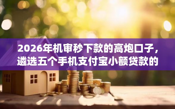 2026年机审秒下款的高炮口子，遴选五个手机支付宝小额贷款的app
