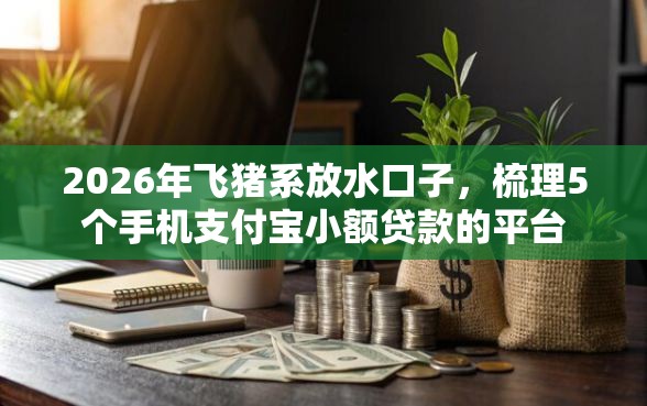 2026年飞猪系放水口子，梳理5个手机支付宝小额贷款的平台