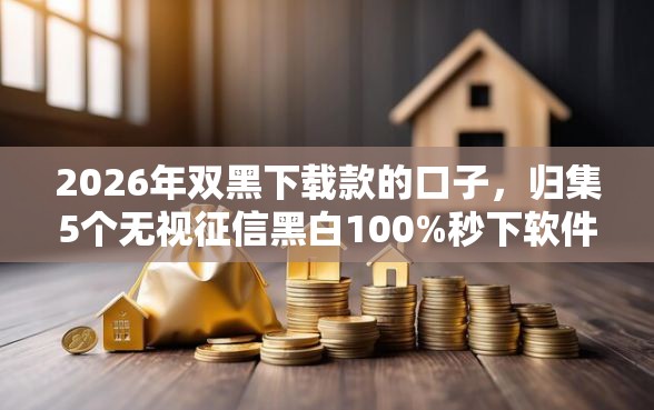 2026年双黑下载款的口子，归集5个无视征信黑白100%秒下软件
