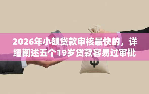 2026年小额贷款审核最快的，详细阐述五个19岁贷款容易过审批的app