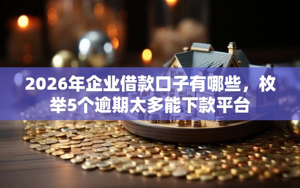 2026年企业借款口子有哪些，枚举5个逾期太多能下款平台