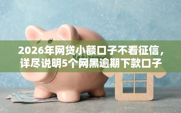 2026年网贷小额口子不看征信，详尽说明5个网黑逾期下款口子