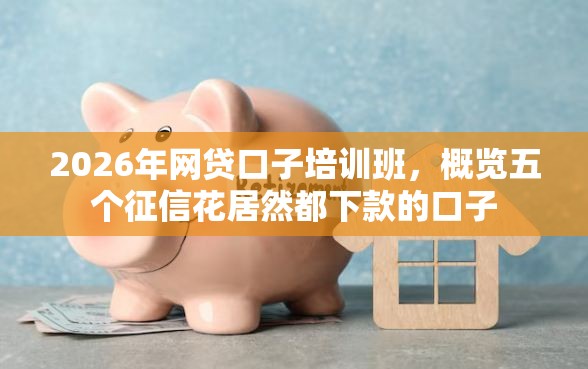 2026年网贷口子培训班，概览五个征信花居然都下款的口子