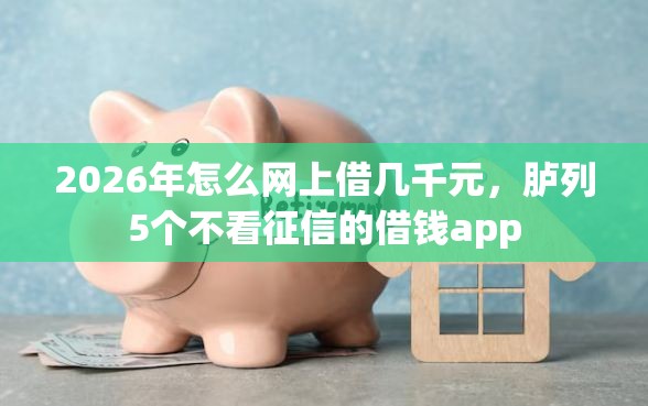 2026年怎么网上借几千元，胪列5个不看征信的借钱app