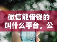微信能借钱的叫什么平台，公布五个最快贷款平台